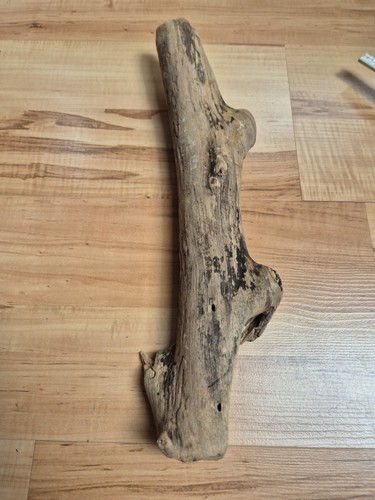 Sehr selten korios skulptur - sehr,