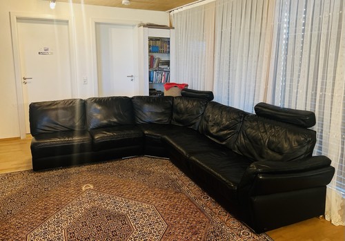 Ledercouch eckcouch - ledercouch,