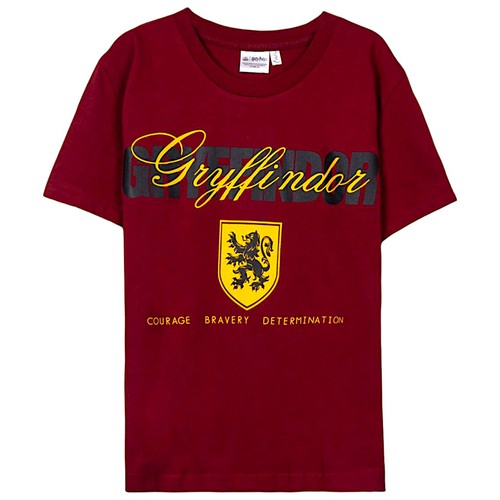 Harry potter gryffindor - harry,