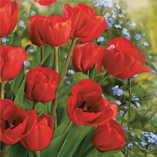 Servietten blumen bunch of - 20,