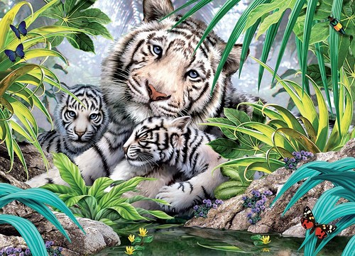 King sibirischer tiger - king,, 1000