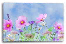 Wandbild blumenbilder - wandbild,