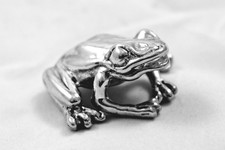 Sehr schöner frosch - sehr,