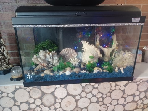 Aquarium l - 60,