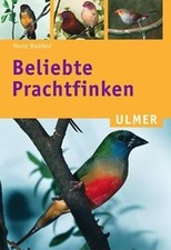 Beliebte Prachtfinken von