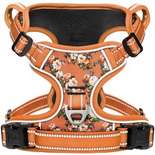 Hundegeschirr, Geschirre