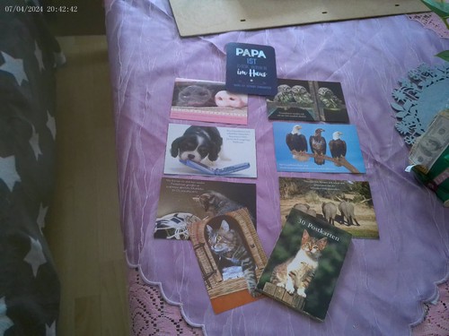 Tierische postkarten - tierische,