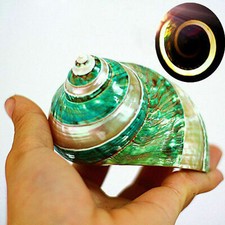 Natürliche grüne Turban