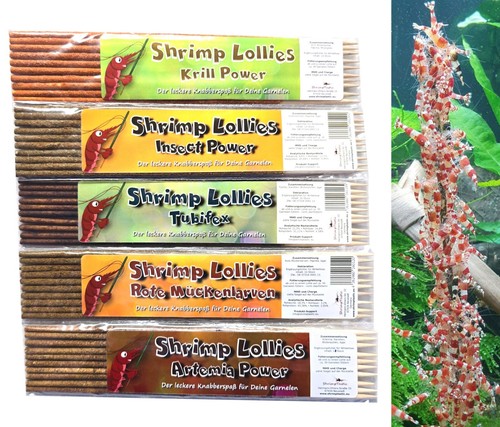 Shrimp lollies proteine set - shrimp,