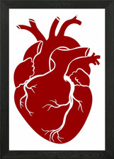 Anatomisch realistisch Mensch