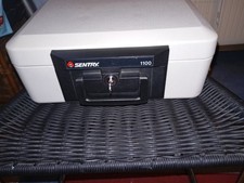Sentry 1100 Feuerfester