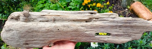 Herrlich ausgeschwemmtes - herrlich,