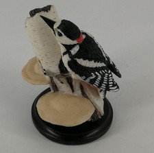 Der Buntspecht - Vogel Welt