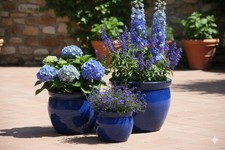 Pflanzkübel,Pflanzgefäß,Blu