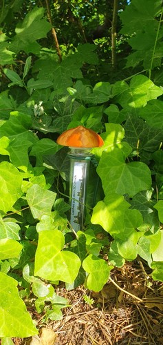 Geocachingversteck aus dem - , 3d