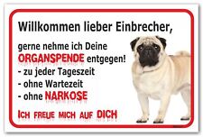 AdriLeo Schild - Vorsicht Mops