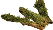 3er Set kleine Deko Äste