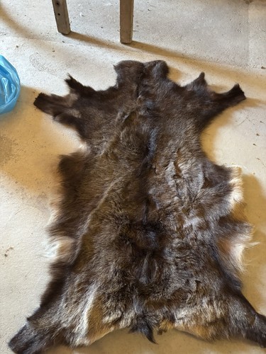 Verschiedene tierfelle - verschiedene,