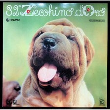 Kleiner Antonianischer Chor -