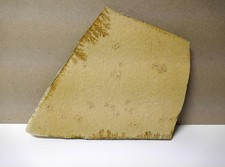 Fossilien - Haarsterne