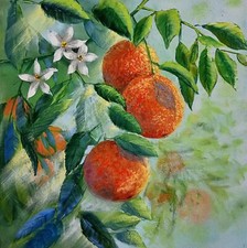 Orangenbaum Ölmalerei 30x30