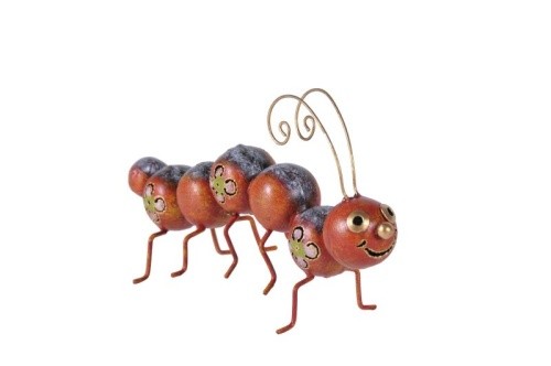 Raupe orange medusa - raupe,