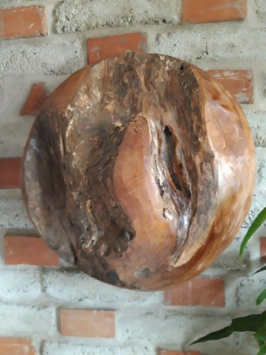 Teakholz halb kugel wand - teakholz,