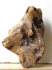 Treibholz Schwemmholz