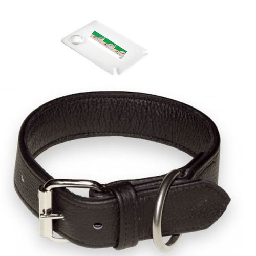 Lederhalsband öko - k9-lederhalsband,