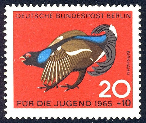 252 jagdbares federwild - federwild, 20+10