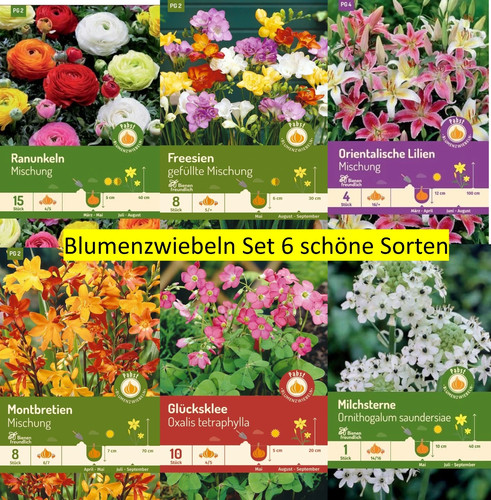 Frühjahrsblumenknollen