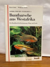 Afrikanische Cichliden 1