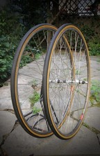 Campagnolo Nuovo Record Low