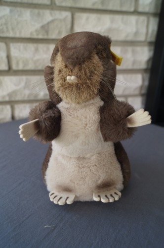 Sehr gepflegter orig steiff - sehr,