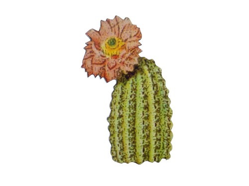 Kaktus brosche miniblings - kaktus,