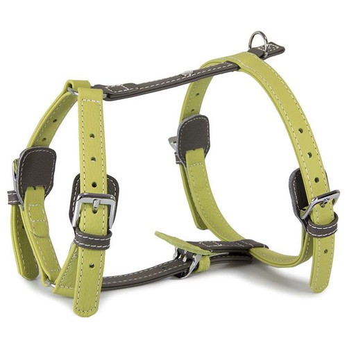 Das lederband hunde - hunde, geschirr