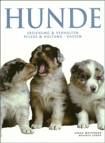 Hunde erziehung verhalten - erziehung, &
