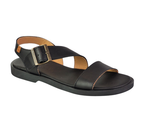 Naturalista arenisca 5887 - naturalista,