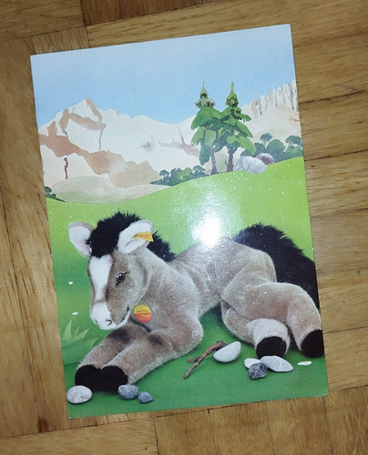 Steiff knopf im - -,