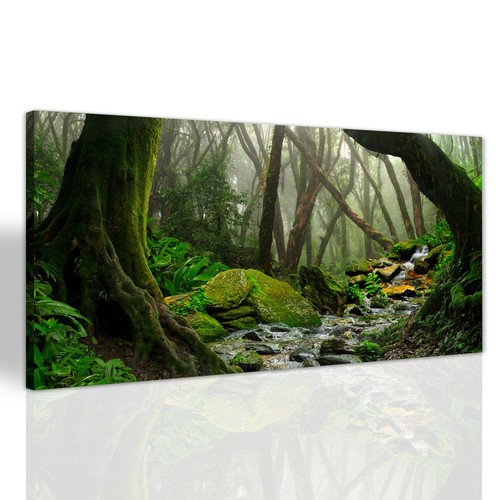Regen wald grün himalaya - regen,