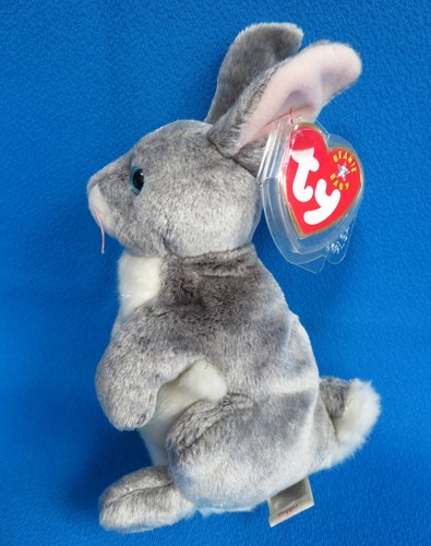 Hase schoß blaue augen - hase,