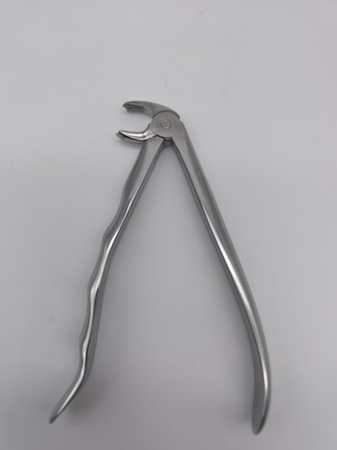 Orbis-Dental