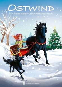 Ostwind ein besonderes - ein,