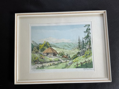 Aquarell schwarzwaldhaus x - schwarzwaldhaus, 37