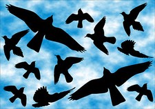 12 Stück Vögel Aufkleber