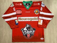 Oberliga Eisbären Regensburg