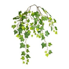 Künstlicher EFEUZWEIG ca