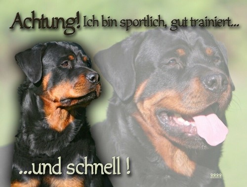 Rottweiler hundeschild - rottweiler,