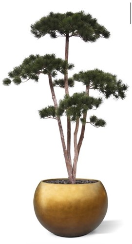 Künstlicher pinus bonsai - pinus,