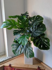 Künstliche Monstera Pflanzen ca 70cm Kunstpflanze Fake OHNE Topf Fensterblatt